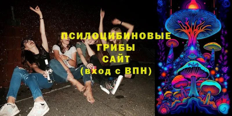 Галлюциногенные грибы Magic Shrooms  Бобров 